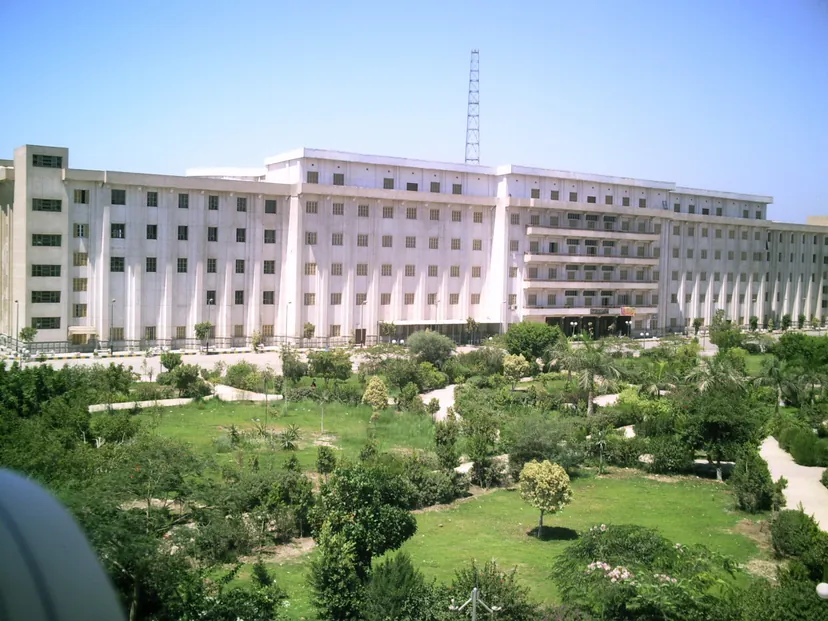 جامعة بني سويف