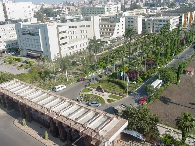 حرم جامعة المنصورة